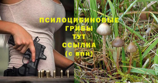 наркотики Белокуриха