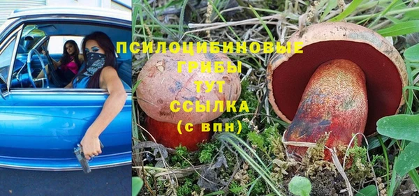 наркотики Белокуриха