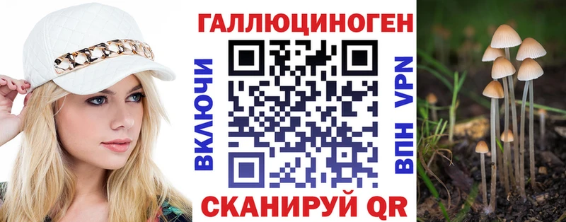 KRAKEN tor  Яровое  Галлюциногенные грибы прущие грибы 
